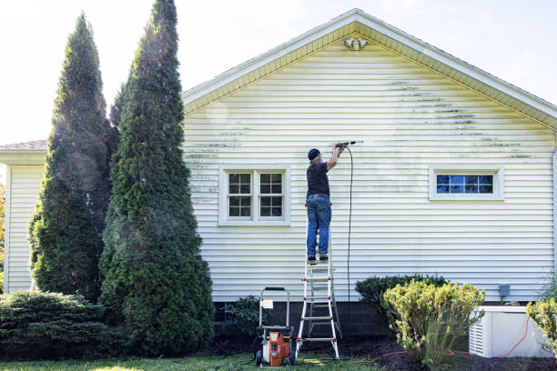 Best House Exterior Washing  in Berino, NM